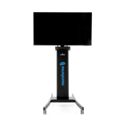 Neuroforma - A computer system supporting neurological rehabilitation