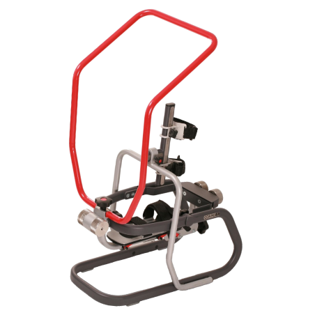 Draco - Crurotalar joint...