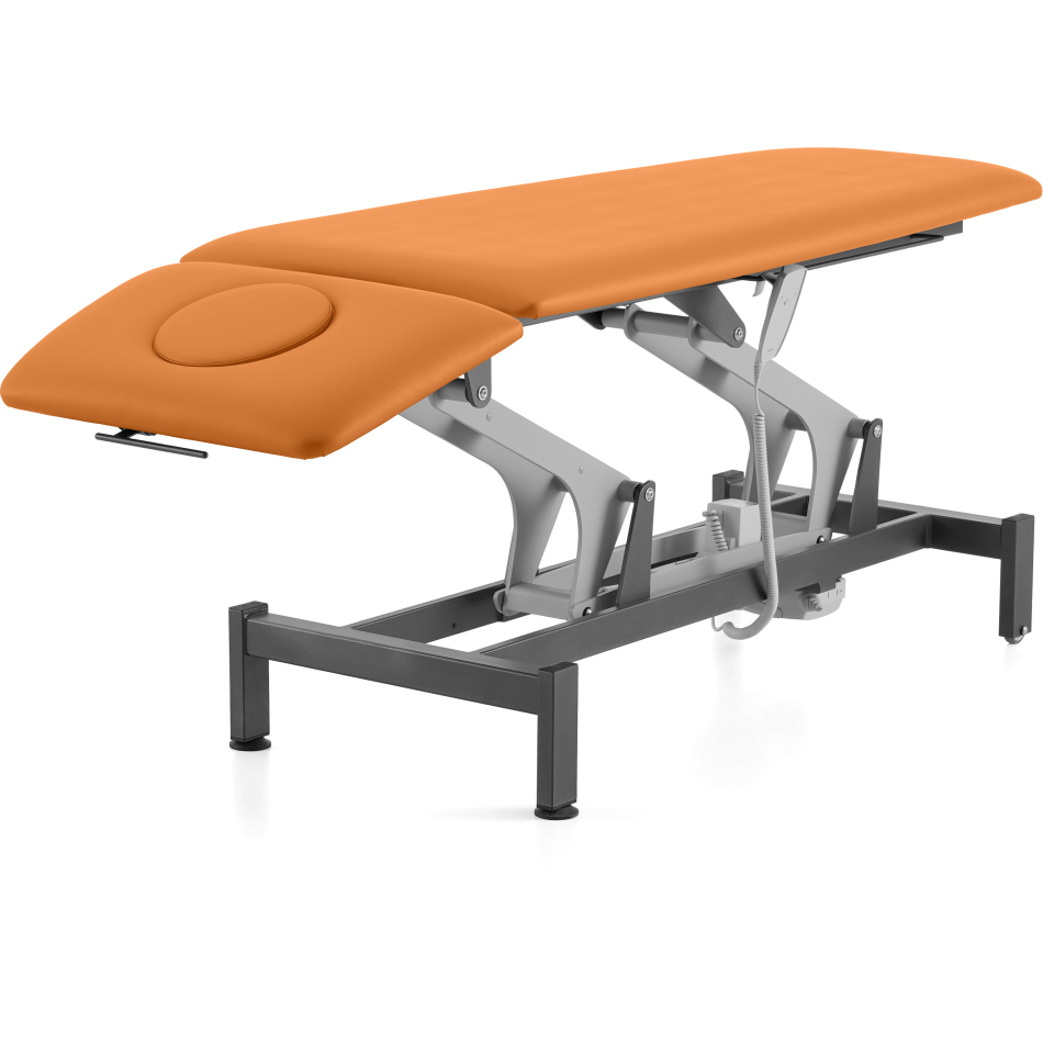 Elemental Ice S2 - Massage table