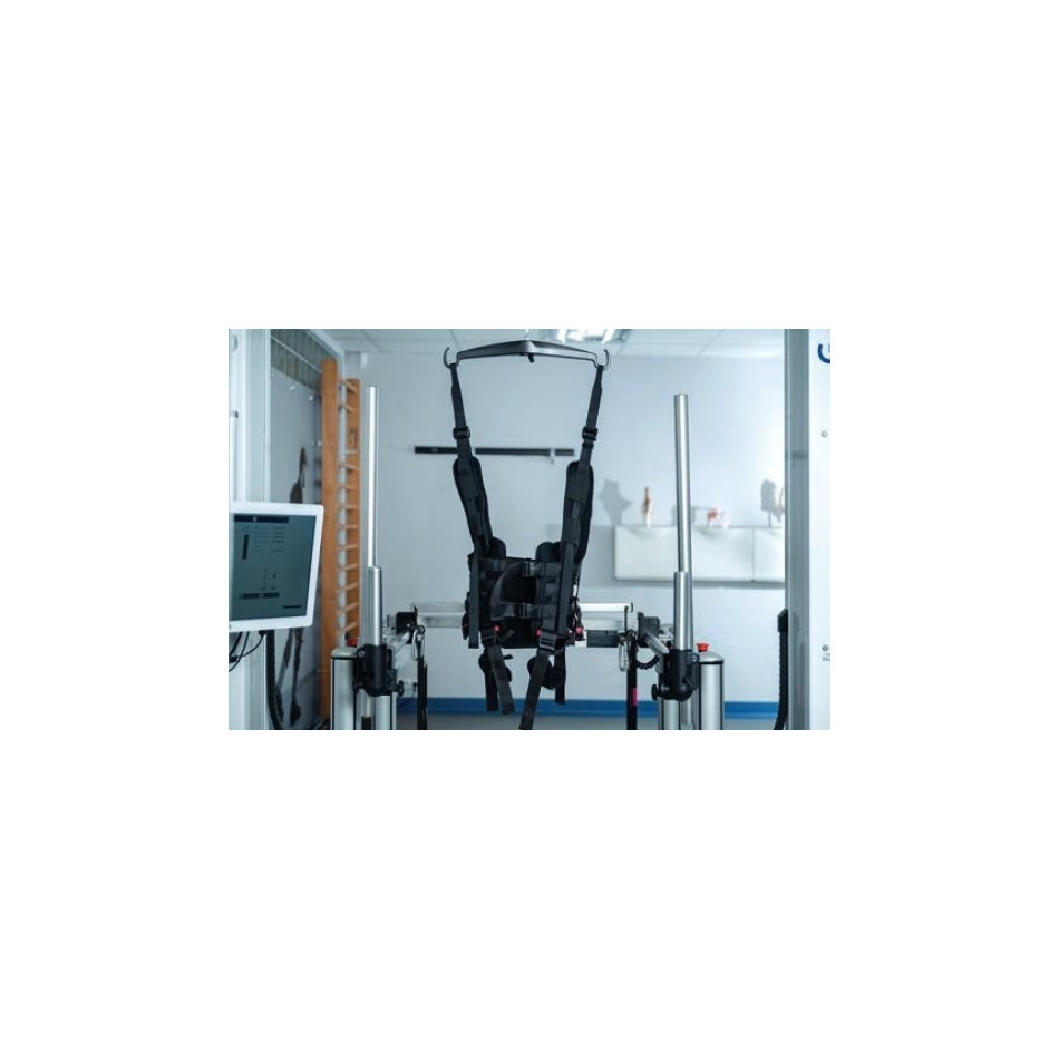 G-EO - Robotic-assisted gait therapy