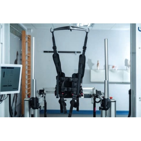G-EO - Robotic-assisted gait therapy